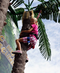 Coconut Tree Climbing Girl