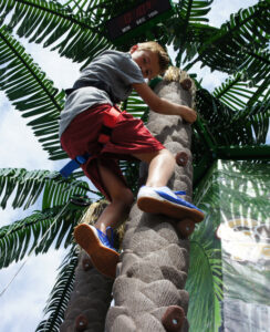 Coconut Tree Climbing Boy