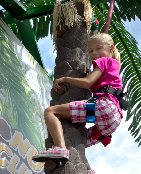 Coconut Tree Climb Girl